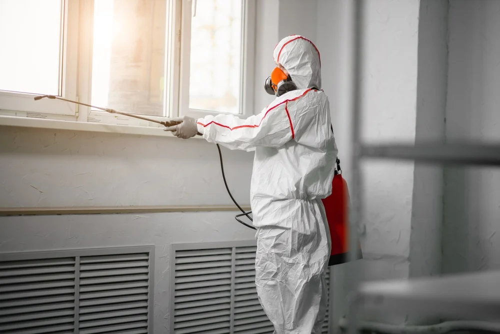 Professional mold remediation services in Beverly Hills, FL